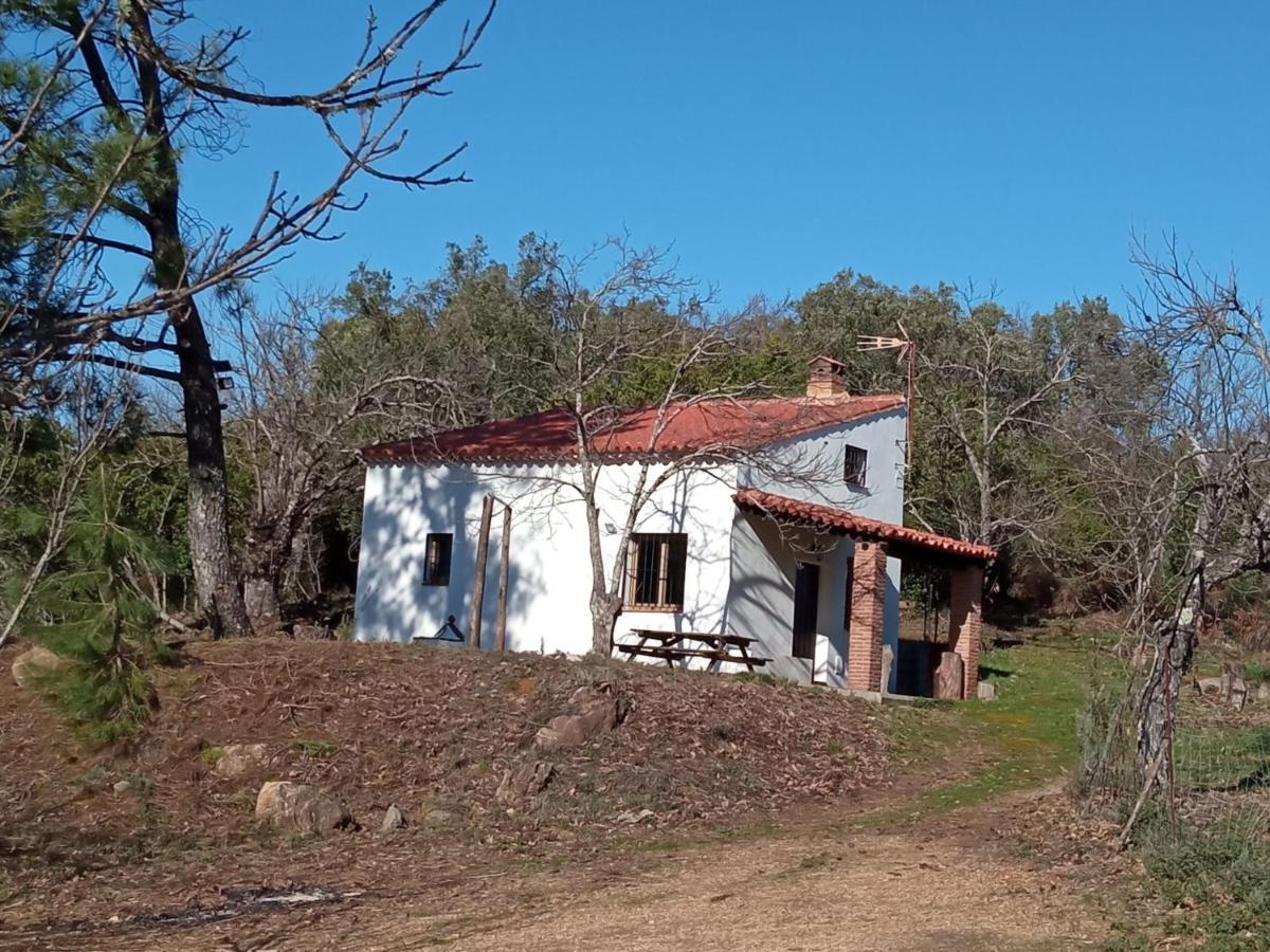 Viviendas Rurales Del Robledo Castano de Robledo Exteriör bild