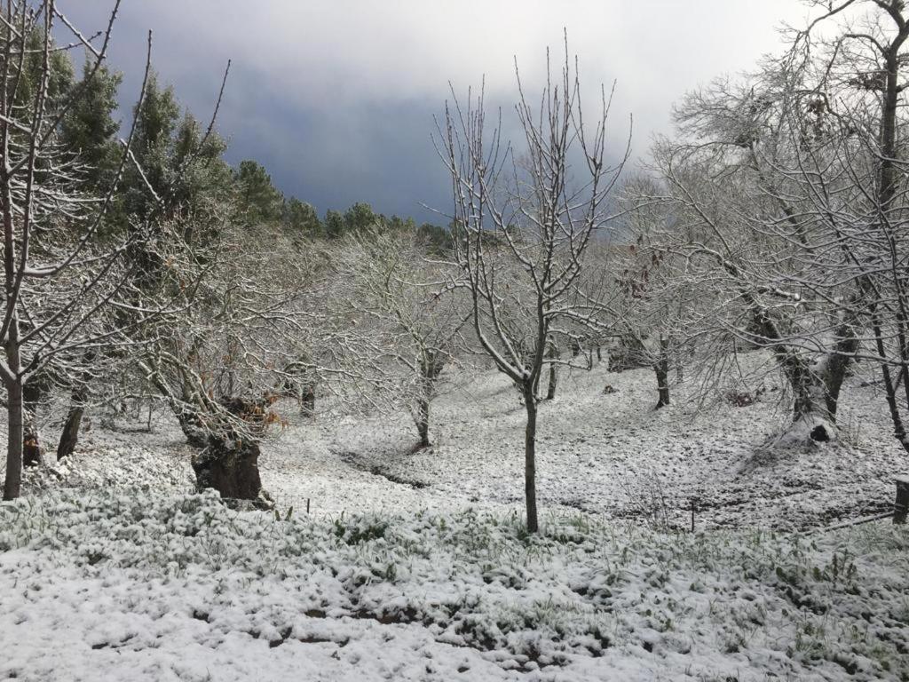 Viviendas Rurales Del Robledo Castano de Robledo Exteriör bild